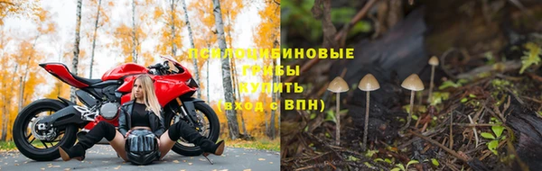 мдпв Алексин