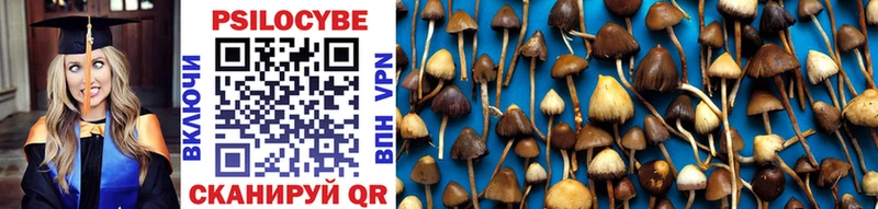 купить наркоту Богучар Галлюциногенные грибы Psilocybine cubensis
